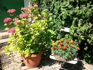 Ferienhaus Selenter See Außenaufnahme 6