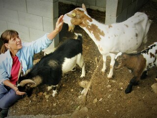 Appartamento per vacanze Bad Goisern Ambiente 29