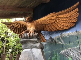 Appartamento per vacanze Bad Goisern Ambiente 33