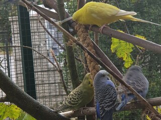 Appartamento per vacanze Bad Goisern Ambiente 39