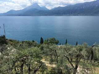 Holiday house Brenzone sul Garda Environment 29