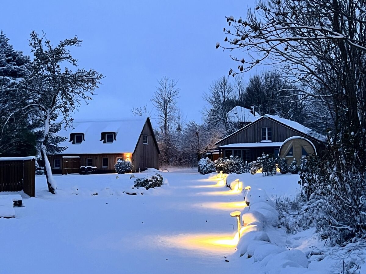 Auffahrt und Garten