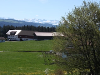 freie Sicht bis zu den Schweizer Bergen