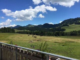 Weitblick Nagelfluh