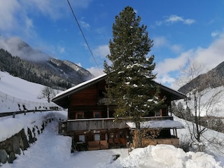 Winter 2022