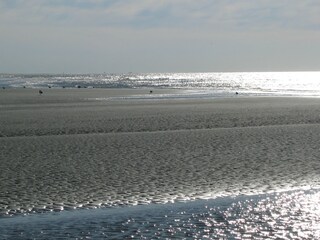 Appartamento per vacanze Schiermonnikoog Ambiente 19