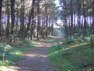 Appartamento per vacanze Schiermonnikoog Ambiente 24