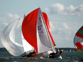 Impressionen vom Steinhuder Meer