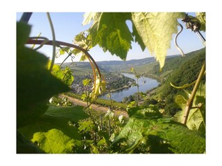 Neumagen-Dhron