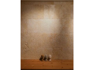 Appartamento Bad Mitterndorf Caratteristiche 68