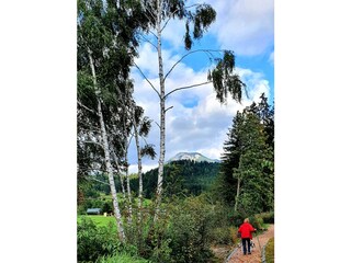 Moorweg - SonnenALm 177