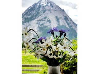 Appartement Bad Mitterndorf Buitenaudio-opname 14