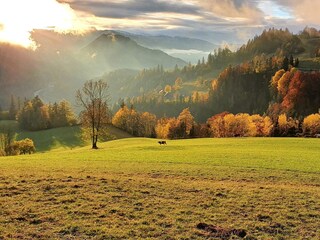 Herbstzeit - Wanderzeit