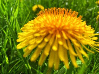 Apartment Üttfeld Außenaufnahme 33