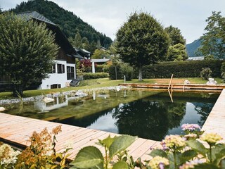 Appartamento Bad Aussee Caratteristiche 28