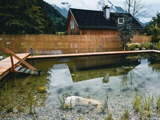 Appartamento Bad Aussee Caratteristiche 29