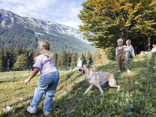 Hundewiese Familienurlaub im Narzissendorf Zloam