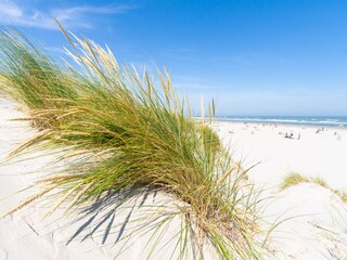 Appartamento per vacanze Nes Ambiente 25