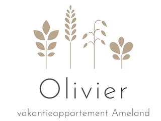 Vakantieappartement Nes Document 43
