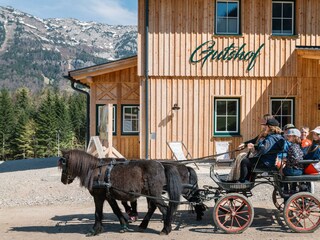 Apartamento Grundlsee Grabación al aire libre 54