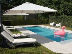 Villa mit Pool - Kamperland - image1
