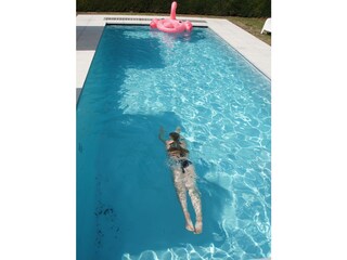 Villa Kamperland Registrazione all'aperto 11