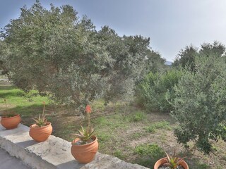 Casa per le vacanze Rethymnon Registrazione all'aperto 9