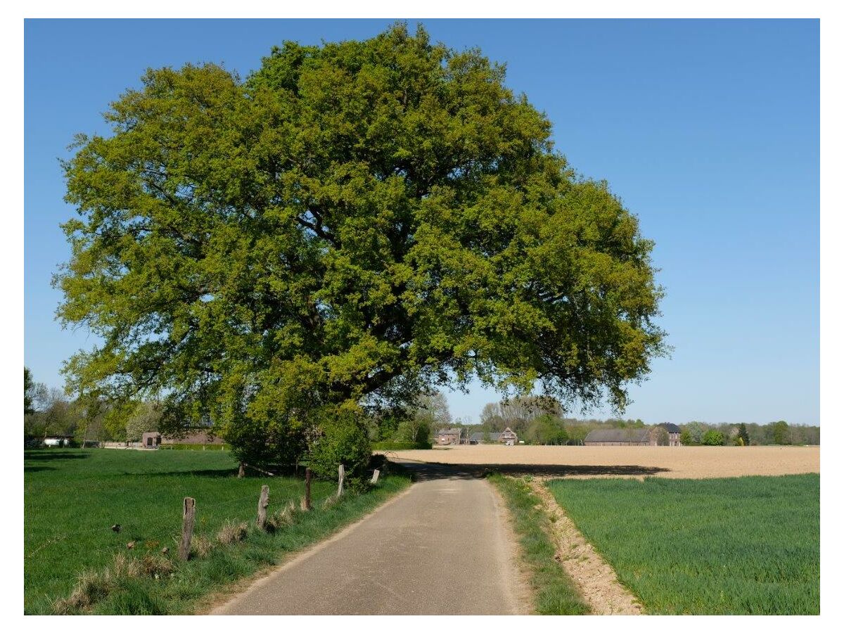 Ferienwohnung Issum Umgebung 25