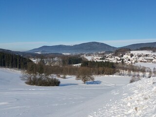 Drachselsried im Winter