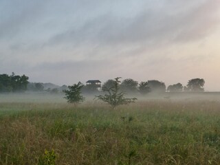 Vogelbeobachtungsturm Stresow im Morgennebel