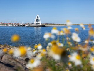 Ferienwohnung Juist Umgebung 25