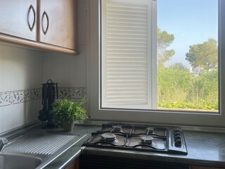 Casa per le vacanze Alcudia Caratteristiche 17