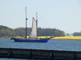 Segler auf der Schlei