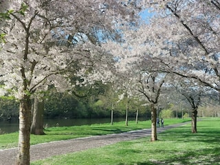 Spaziergang entland der Nahe auf der Roseninsel