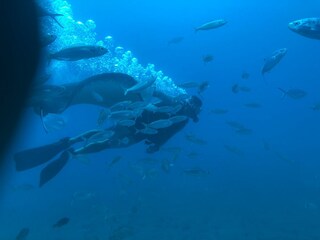 Casa per le vacanze Finestrat Ambiente 38