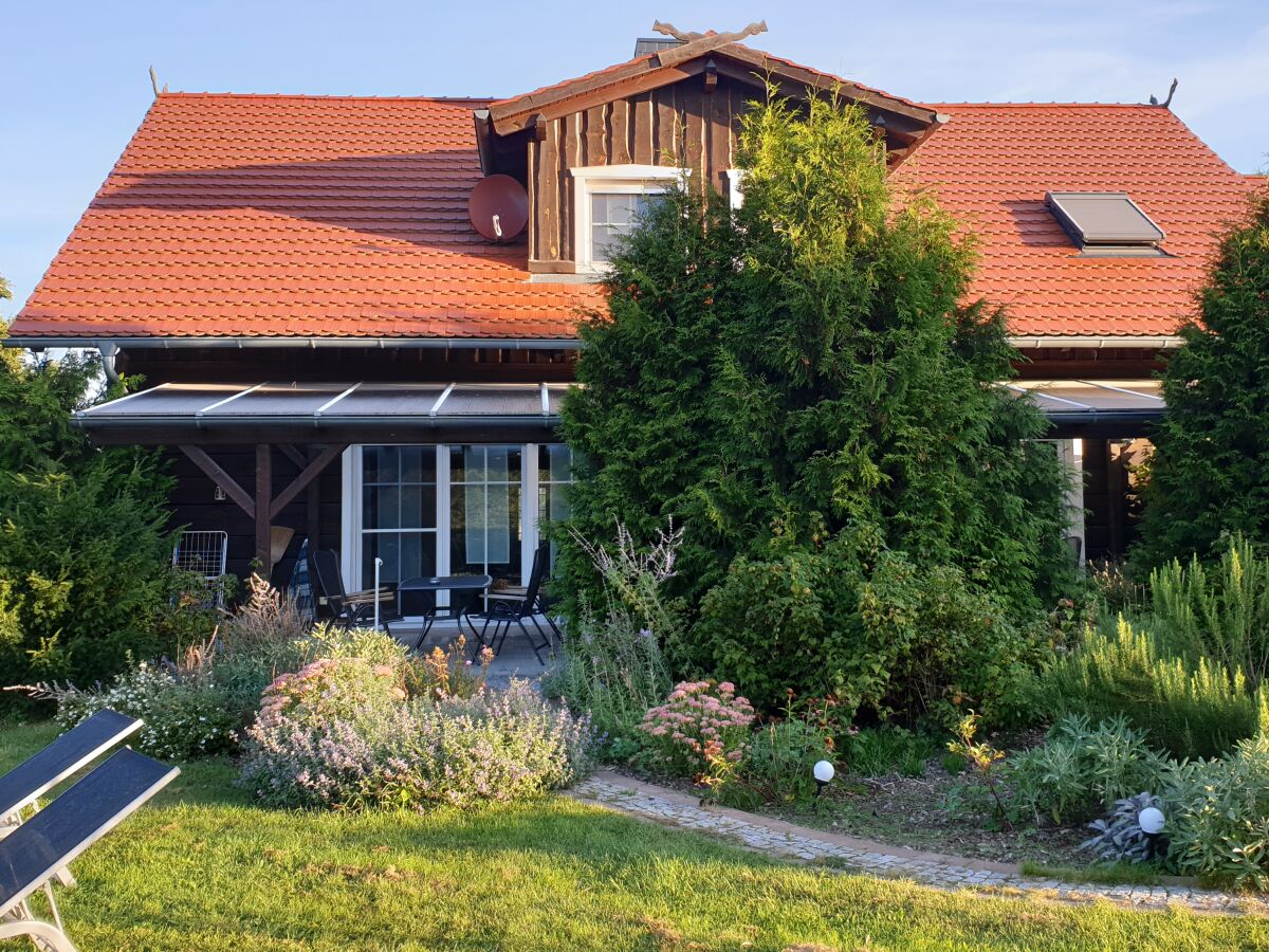 Terrasse und Garten Teichrose