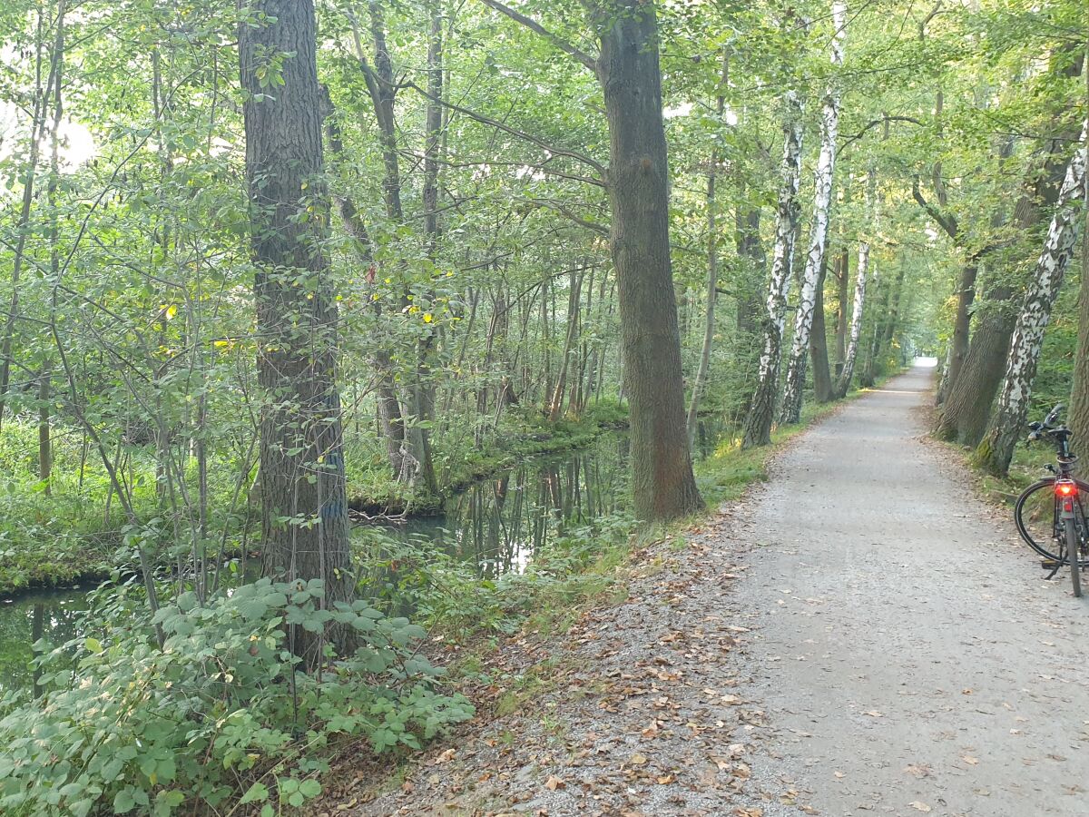 Romantische Radwege im Spreewald