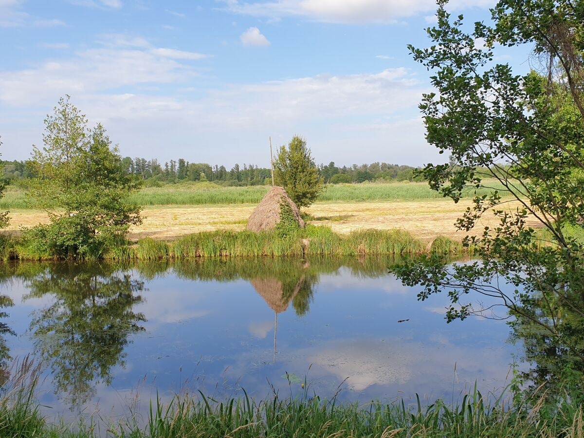 Radweg von Lübben nach Lübbenau an der Spree entlang