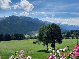 Vakantieappartement Hollersbach im Pinzgau Buitenaudio-opname 2