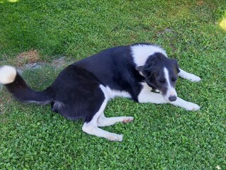 Appartamento per vacanze Hollersbach im Pinzgau Registrazione all'aperto 4