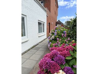 Garten und Eingang