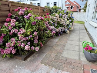 vordere "Terrasse" , Weg zum kleinen Garten