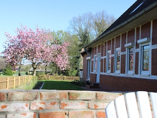 Blick auf den Garten der Ferienwohnung