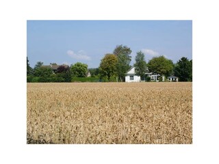 Casa per le vacanze Breskens Registrazione all'aperto 3