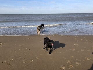 Casa per le vacanze Breskens Ambiente 20