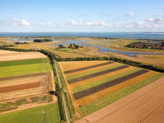 Casa per le vacanze Breskens Ambiente 23