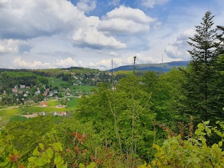 Blick in den Schwarzwald