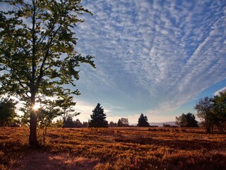 Hochheide