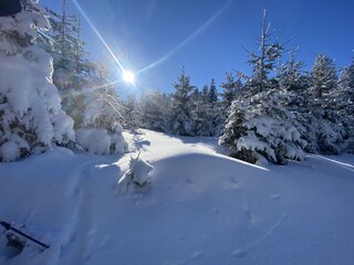 Winterwandern