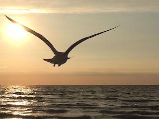 Erleben Sie traumhafte Sonnenuntergänge